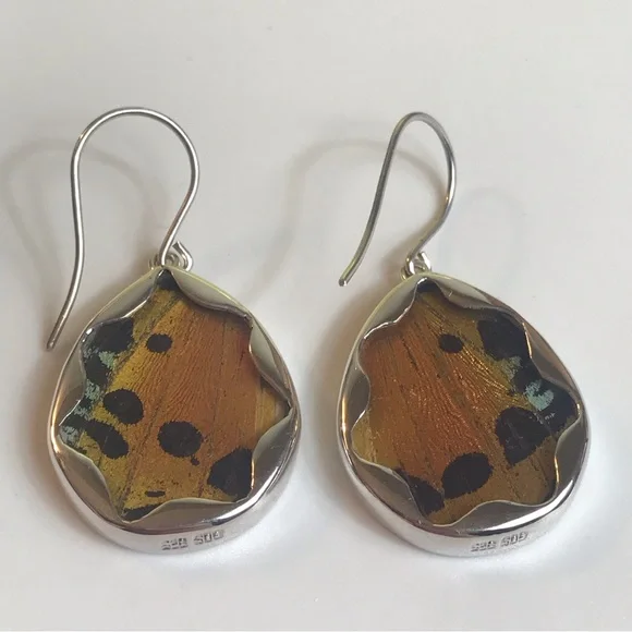 Real Butterfly Wing Earrings Sterling Silver Handmade Jewelry Oval Teardrop - Picture 3 of 9
